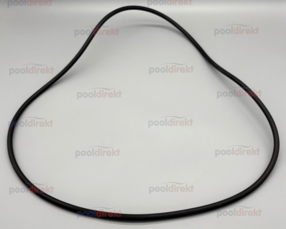 O-Ring D500 für Neptun/Zirkel