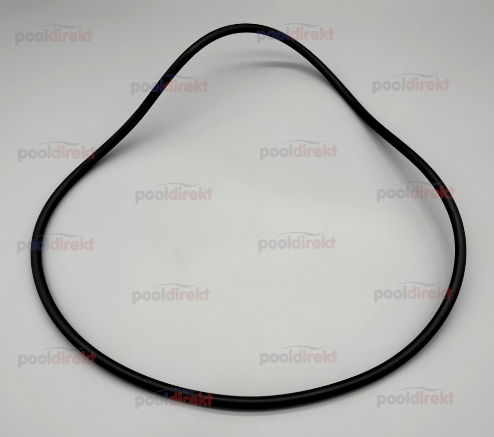 O-Ring D400 für Neptun/Zirkel